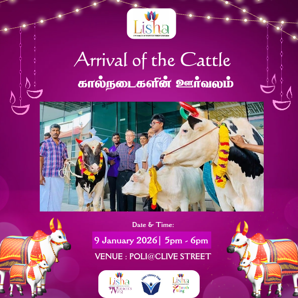 ARRIVAL OF THE CATTLE